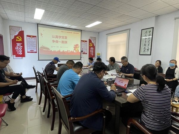 公司开展“认真学习党章、严格遵守党章”主题党日活动